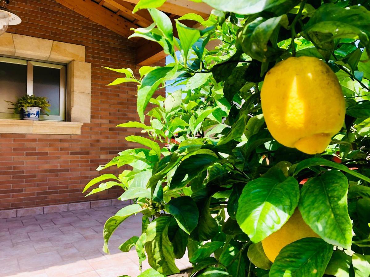 Chalet Con Piscina Privada!!! Altafulla Kültér fotó